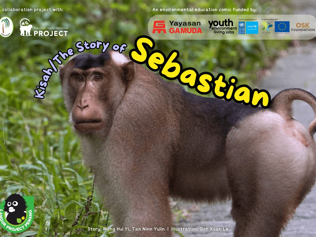 The Story of Sebastian