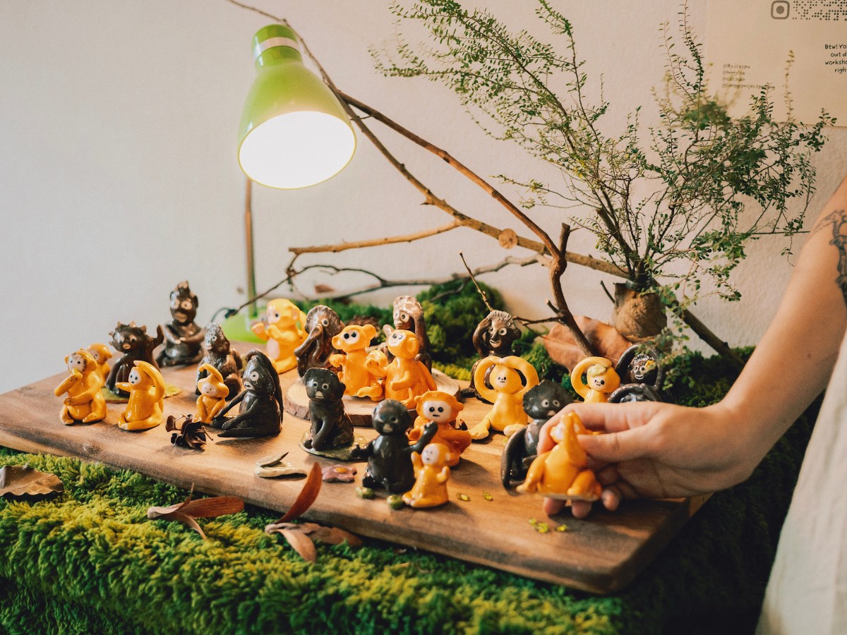 Lives between Branches 🍃 – A Dusky Langur community art exhibition ✨🐒