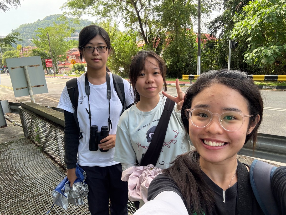 Beyond an Internship: A Chapter Filled with Gratitude